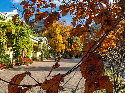 Autunno