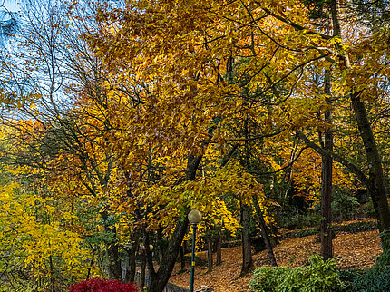 Autunno