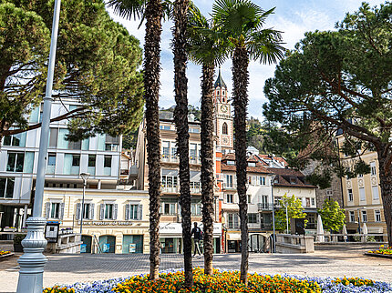 Primavera