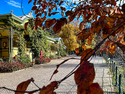 Autunno